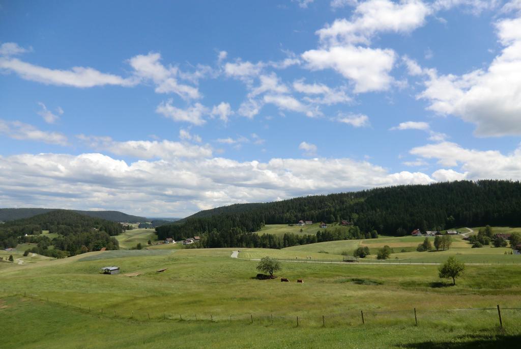 Haus Diesenhof Holiday home Lauterbach (Baden-Wurttemberg)