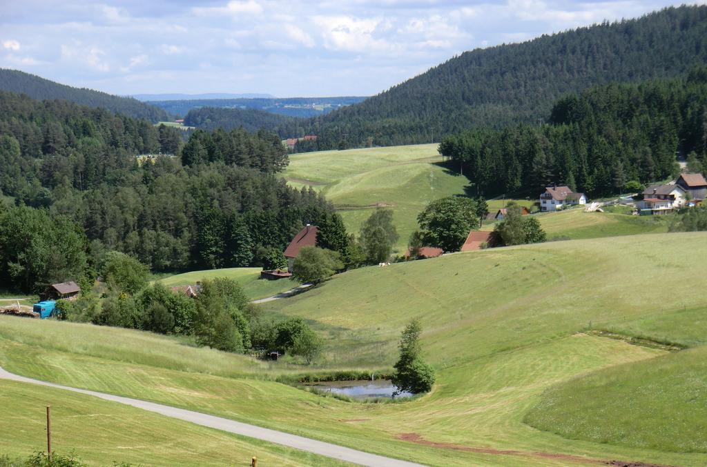 Haus Diesenhof Holiday home