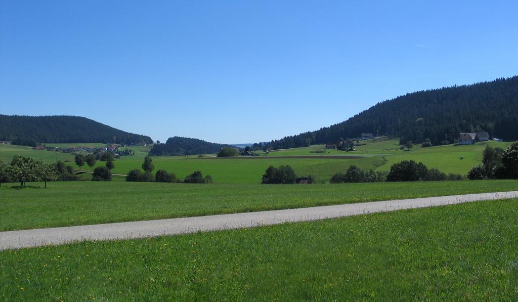 Haus Diesenhof Holiday home *