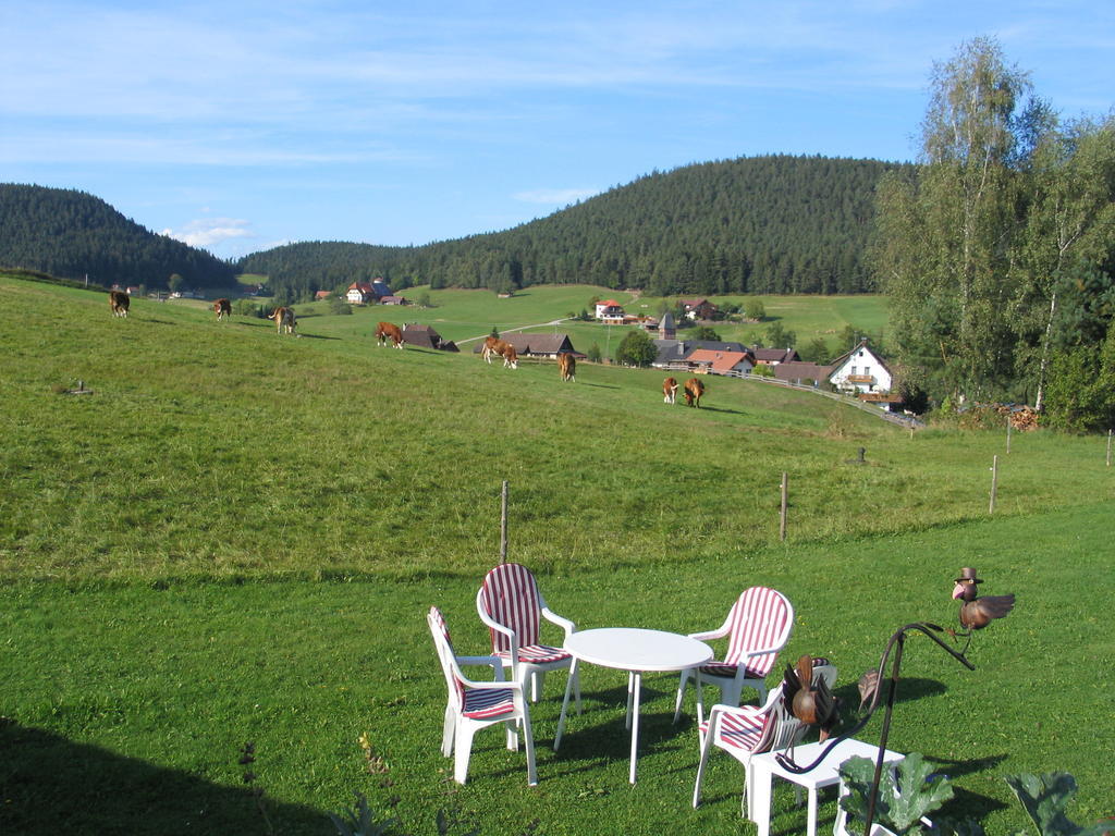Haus Diesenhof * Lauterbach (Baden-Wurttemberg)