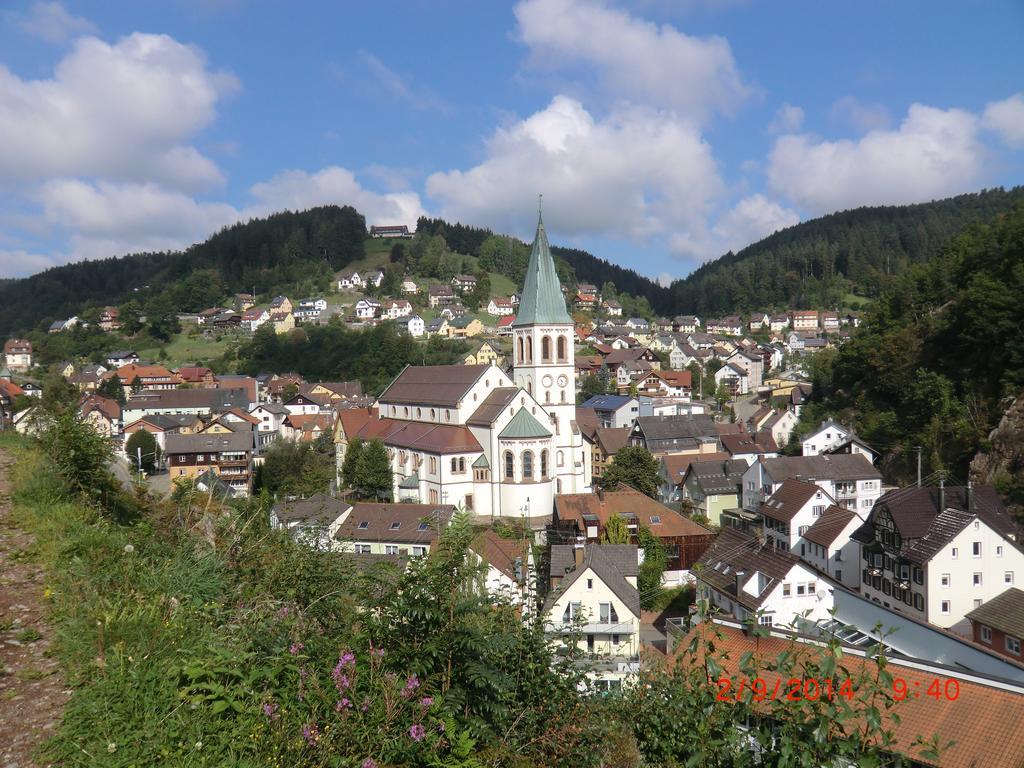 Haus Diesenhof *